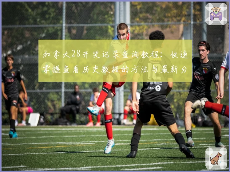 加拿大28开奖记录查询教程：快速掌握查看历史数据的方法与最新分析技巧