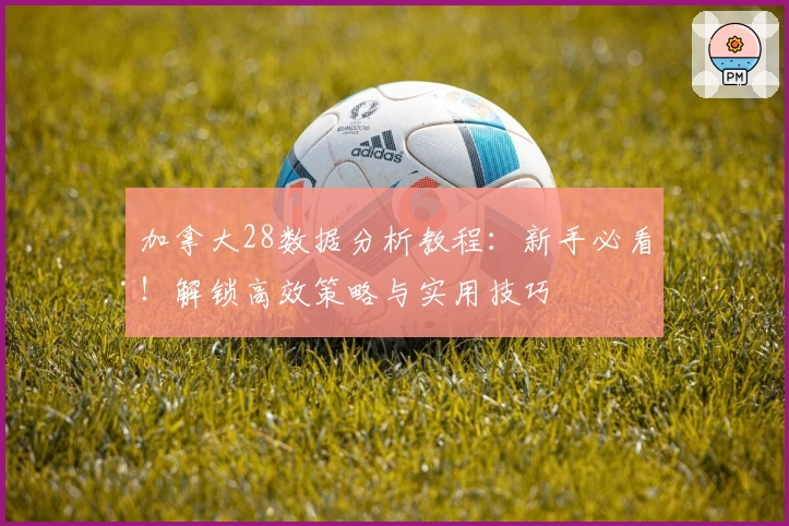 加拿大28数据分析教程：新手必看！解锁高效策略与实用技巧