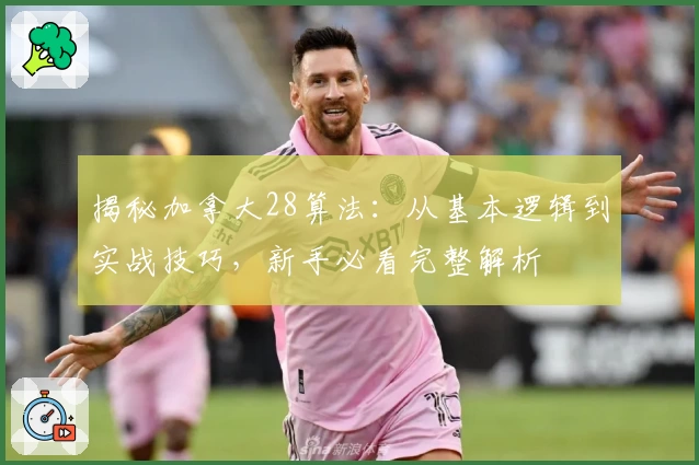 揭秘加拿大28算法：从基本逻辑到实战技巧，新手必看完整解析